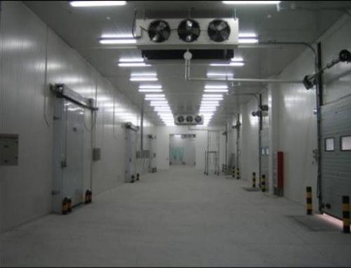 冷库建造